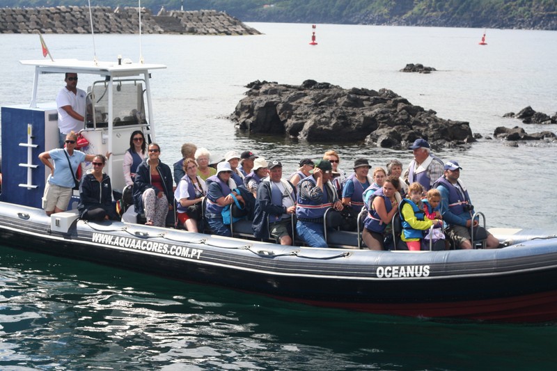 whale_watching_idosos_11