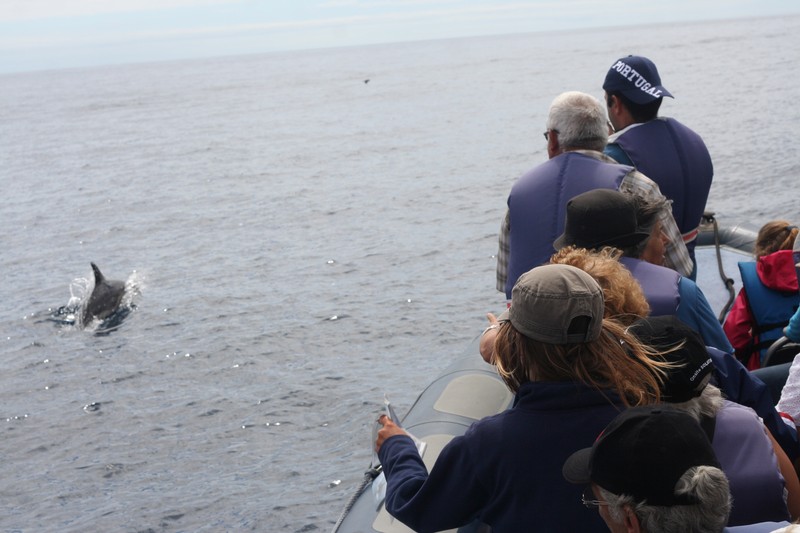 whale_watching_idosos_8