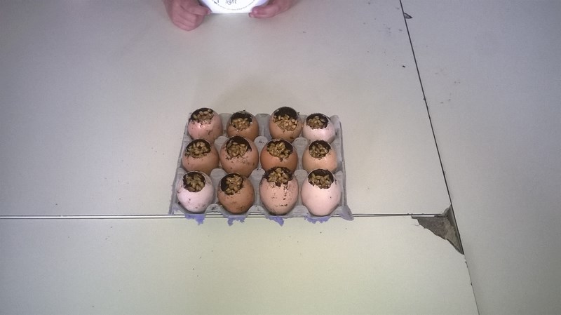 WP_20160420_11_09_32_Pro