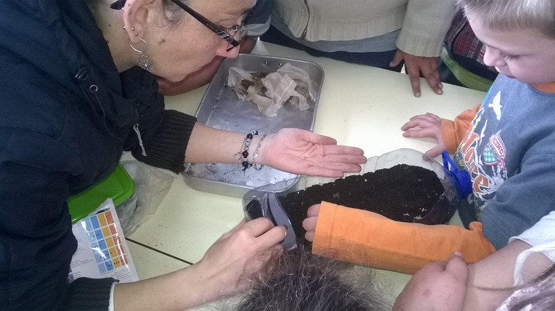 WP_20160420_11_32_55_Pro