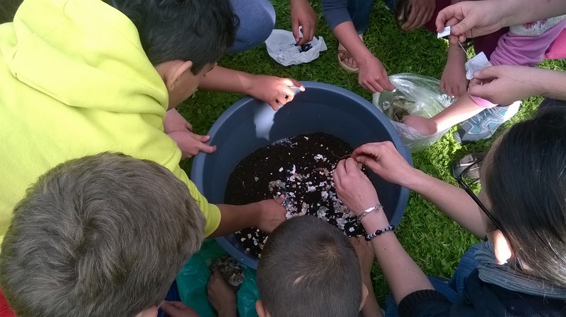 WP_20160421_10_14_02_Pro